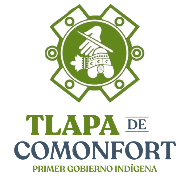 PERMISO DE CONDUCIR SIN PLACA (Tlapa de Comonfort) GUERRERO